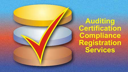 Auditing Services