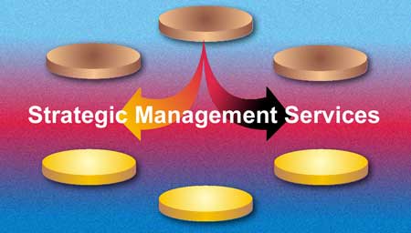 Strategic Management Services